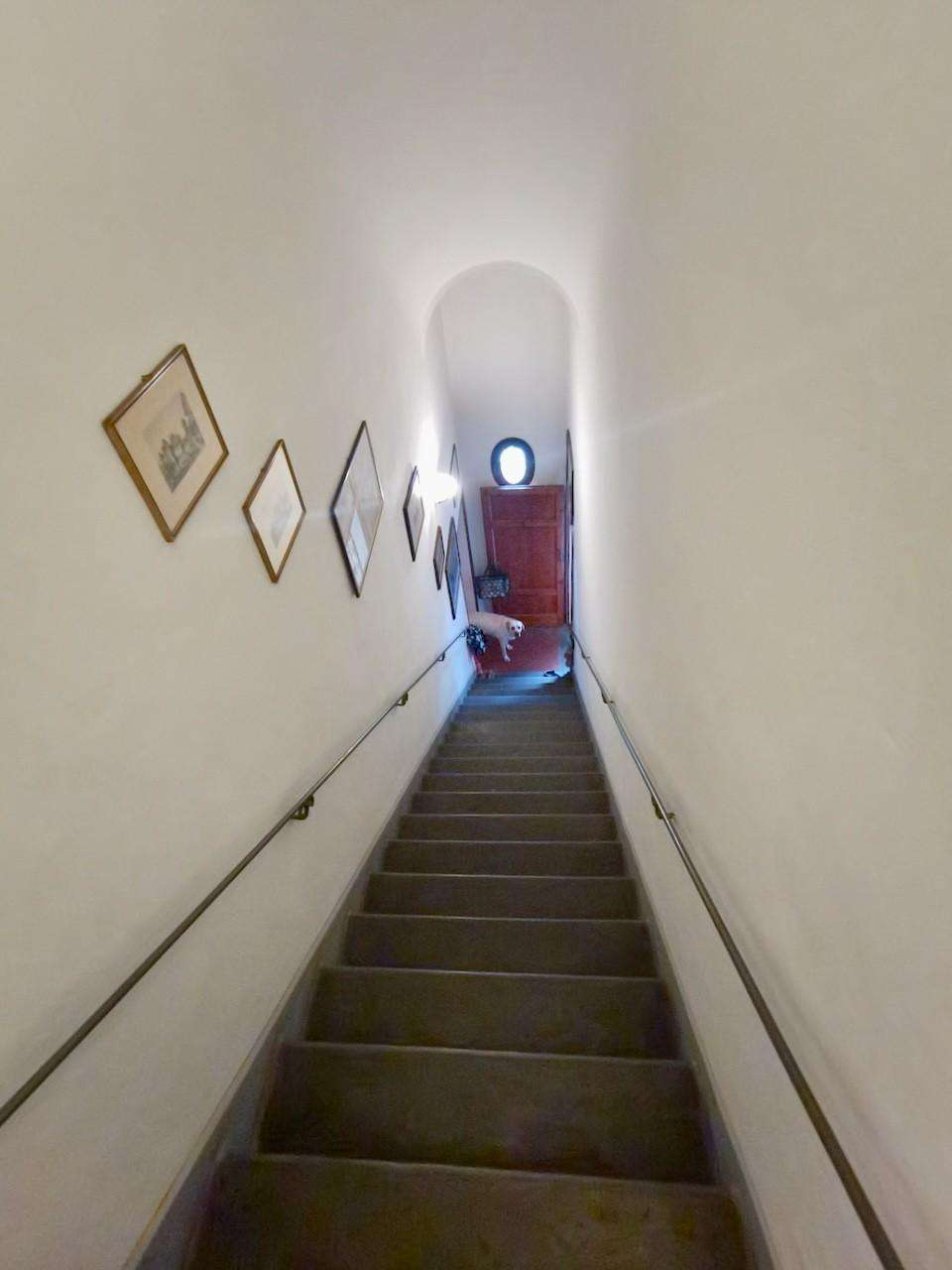  - foto 59