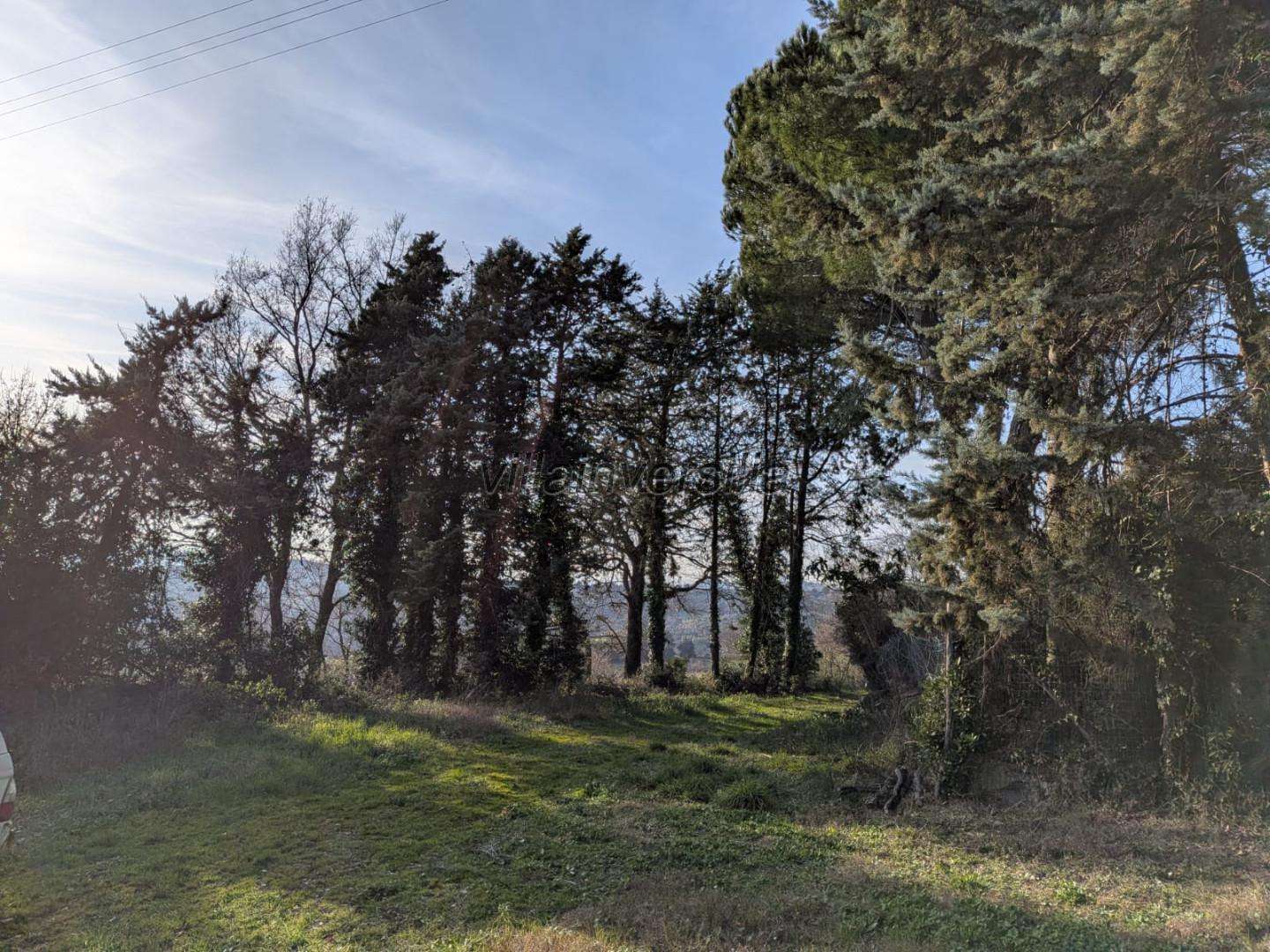 - foto 14