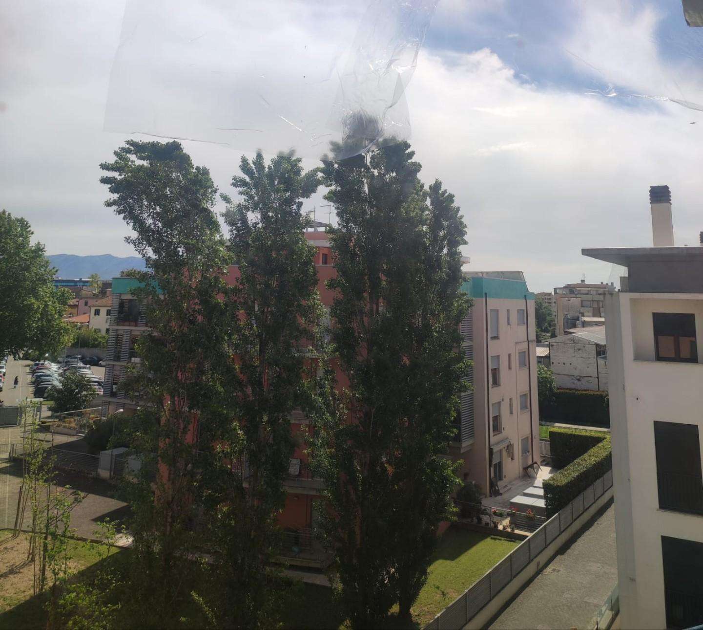  - foto 7
