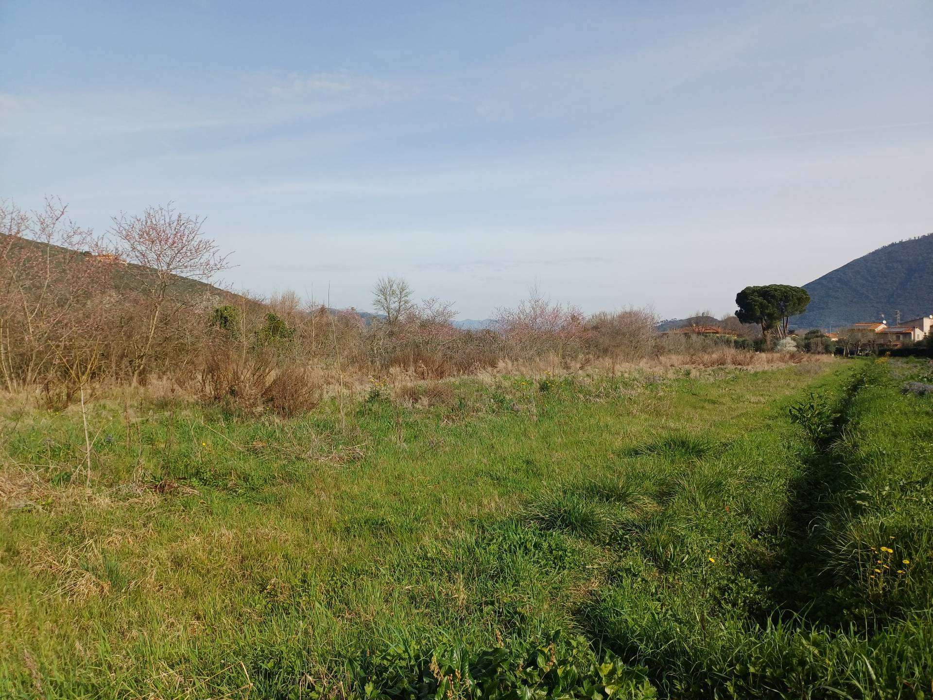 Terreno agricolo via giuseppe verdi-, Vecchiano