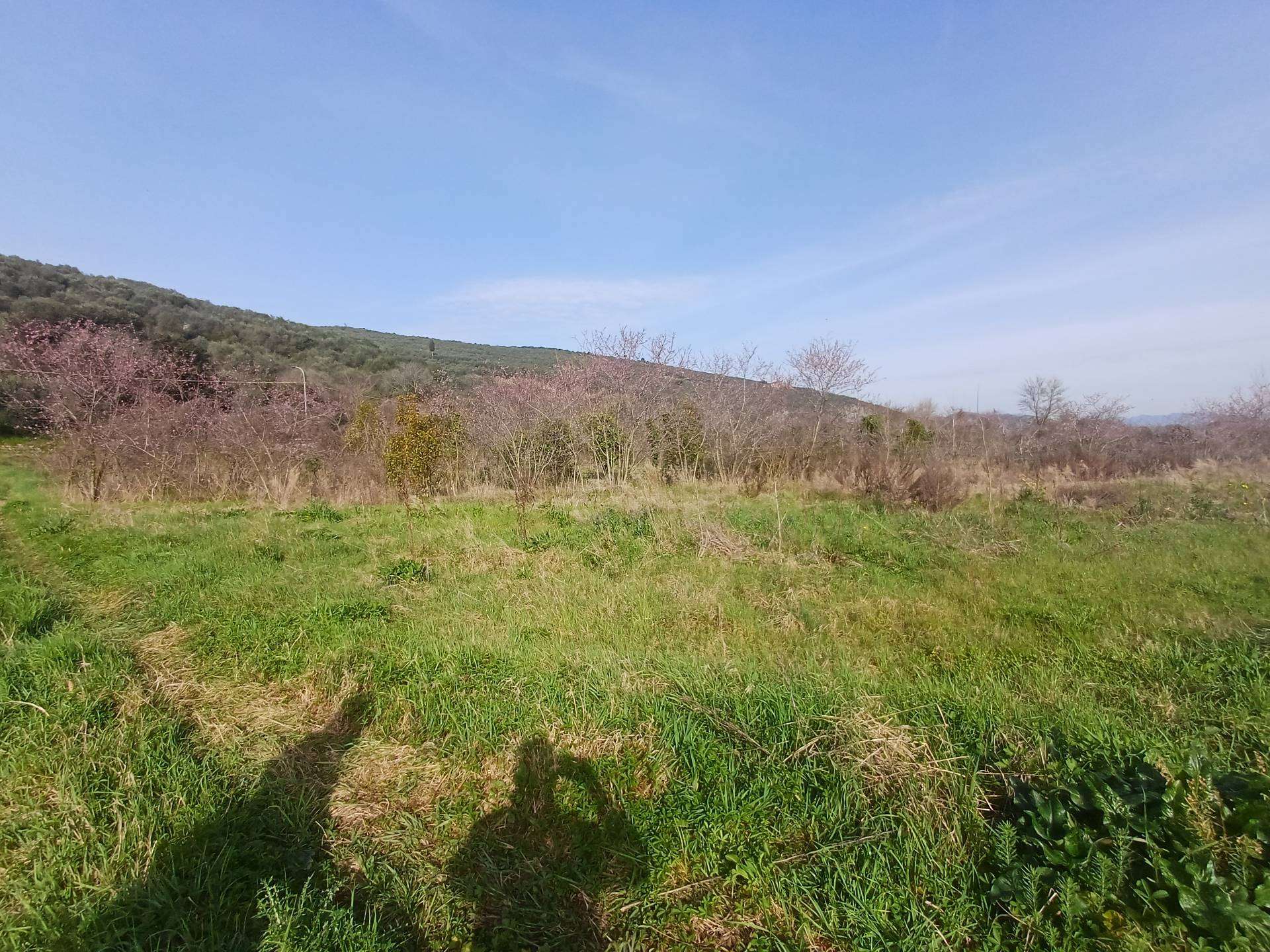  - foto 5