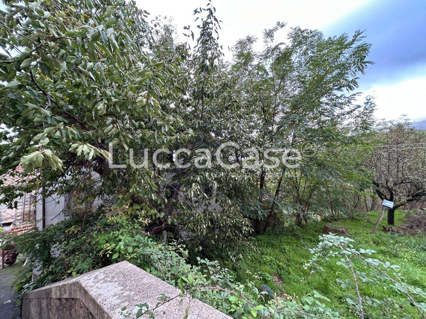  - foto 31