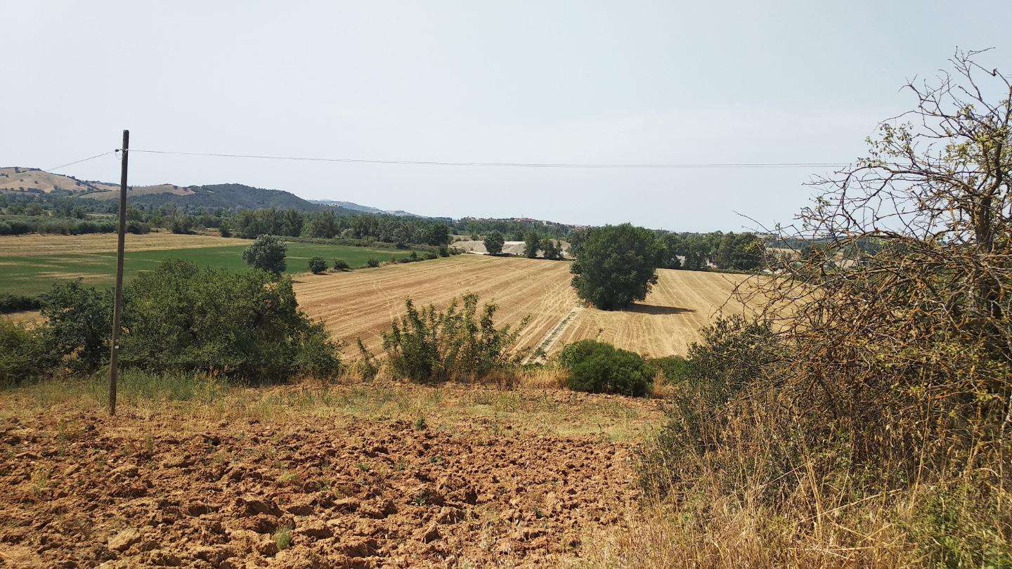 Azienda agricola Grosseto, QW5+97 6, Grosseto