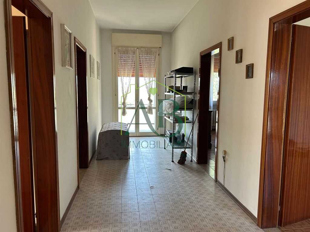  - foto 11