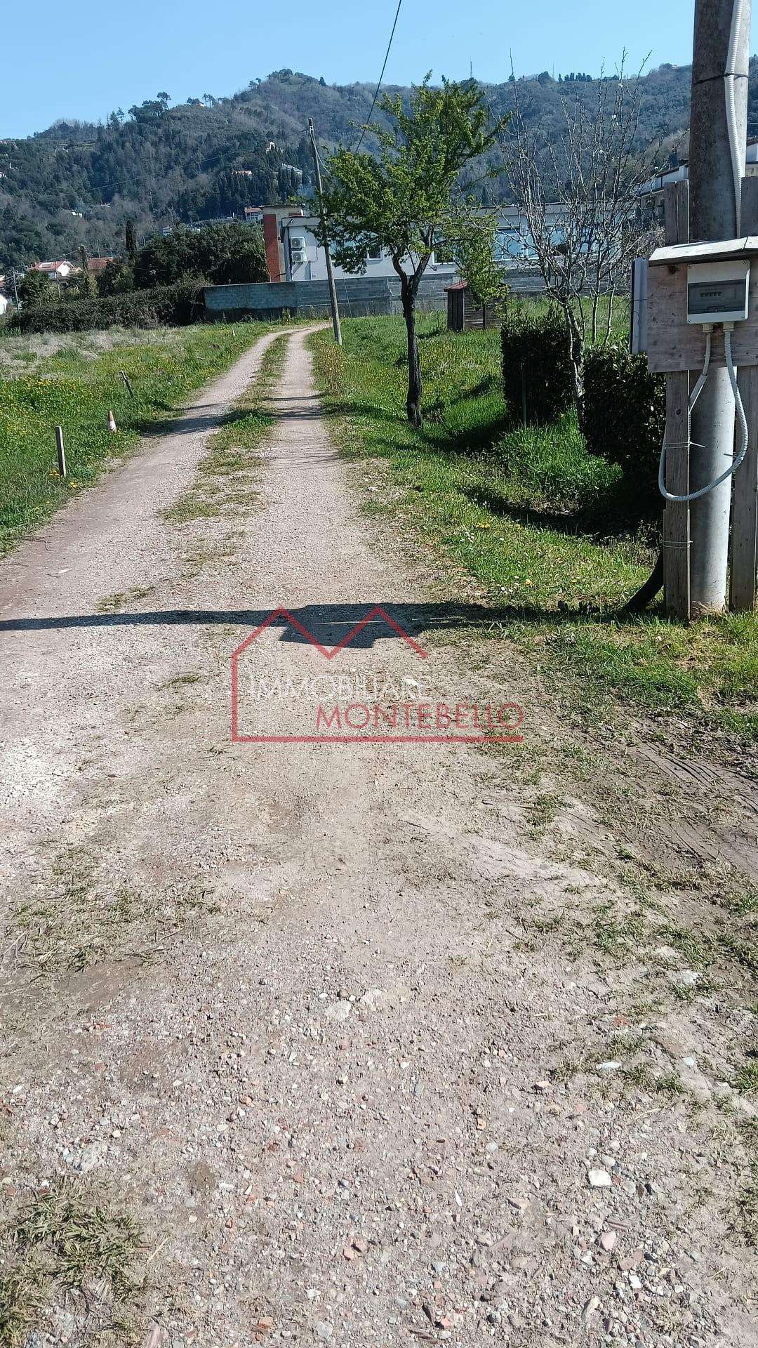  - foto 25