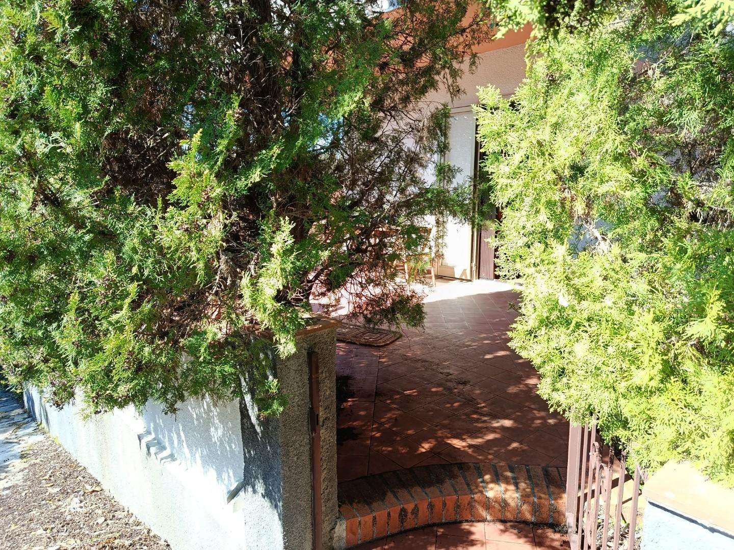  - foto 29