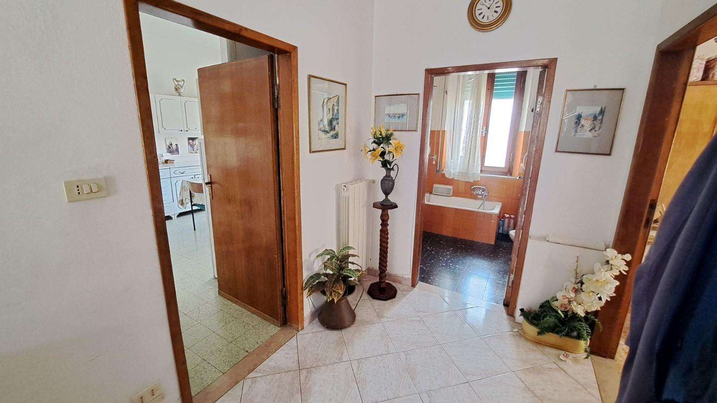  - foto 11