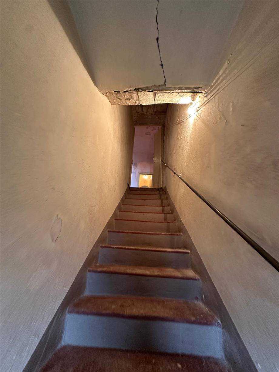  - foto 12