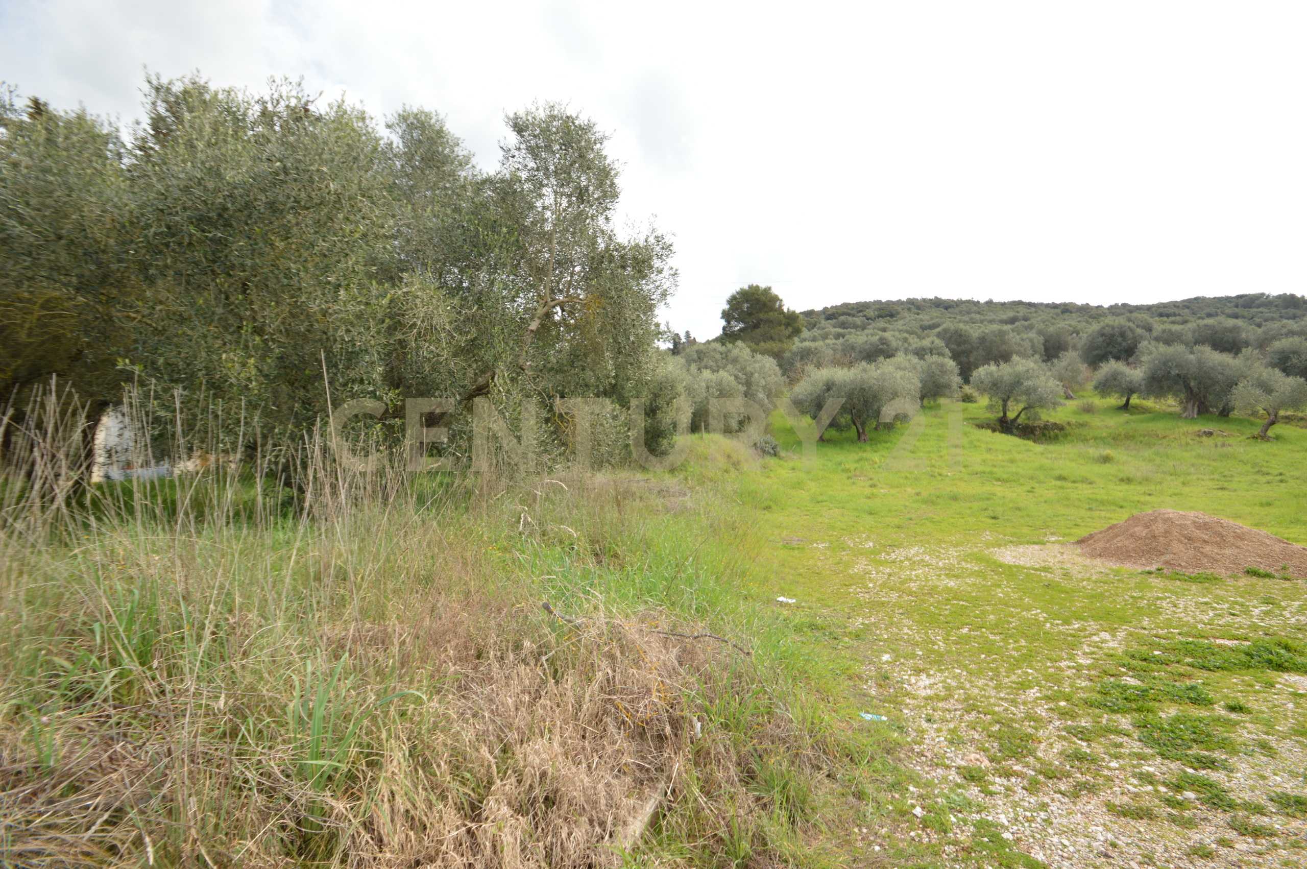  - foto 3