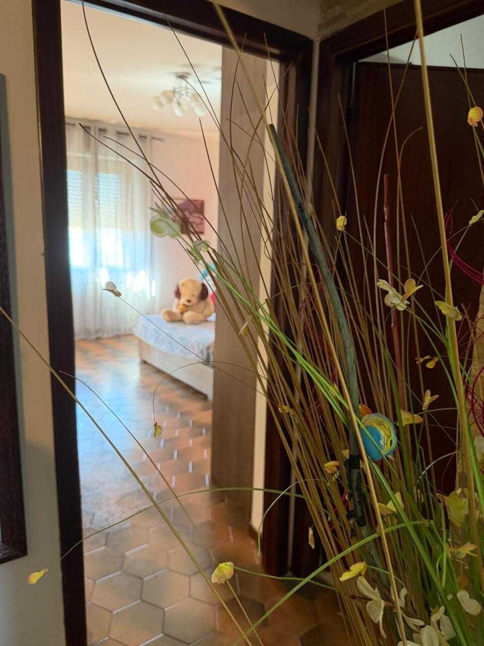  - foto 11