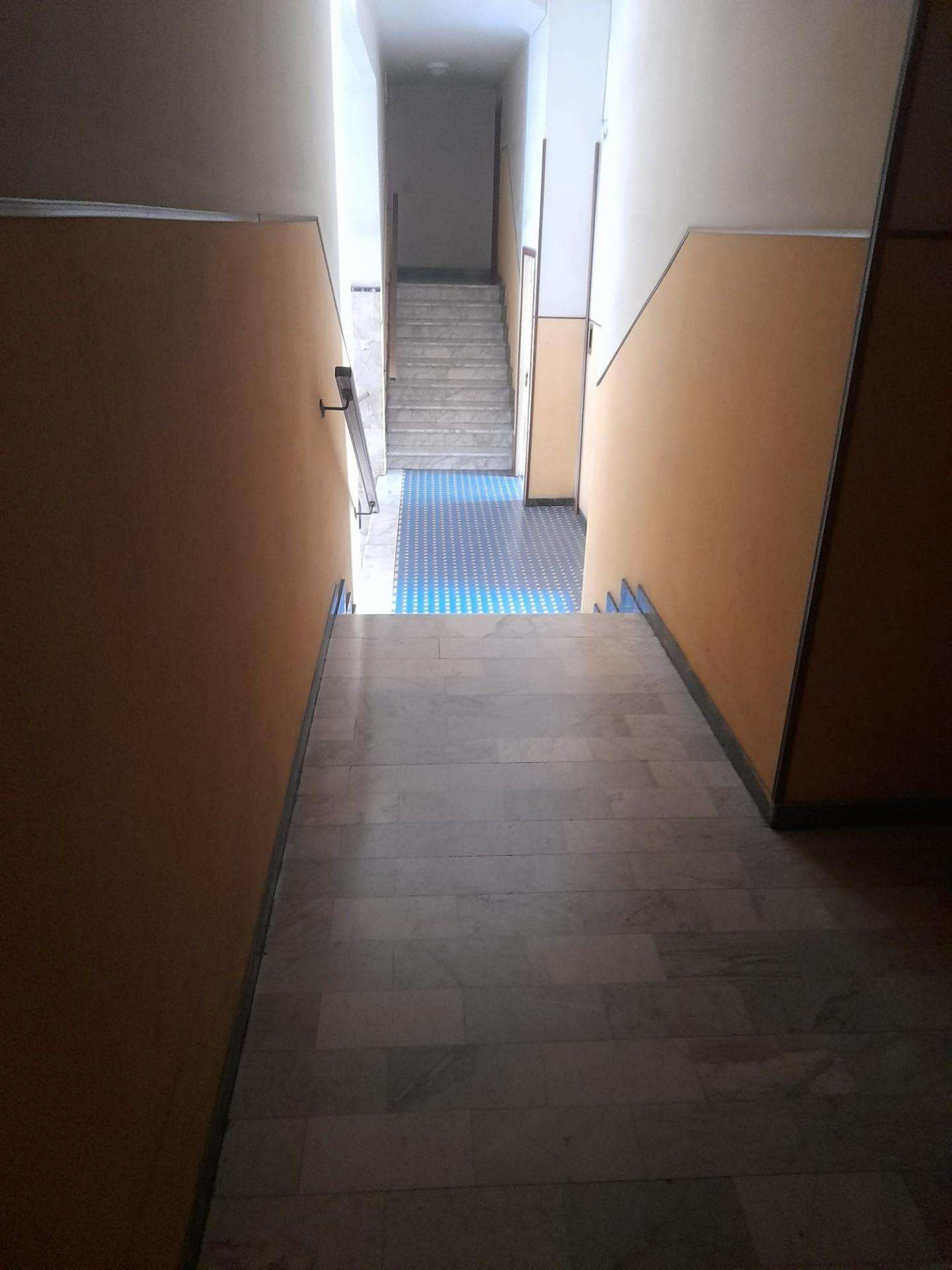  - foto 29