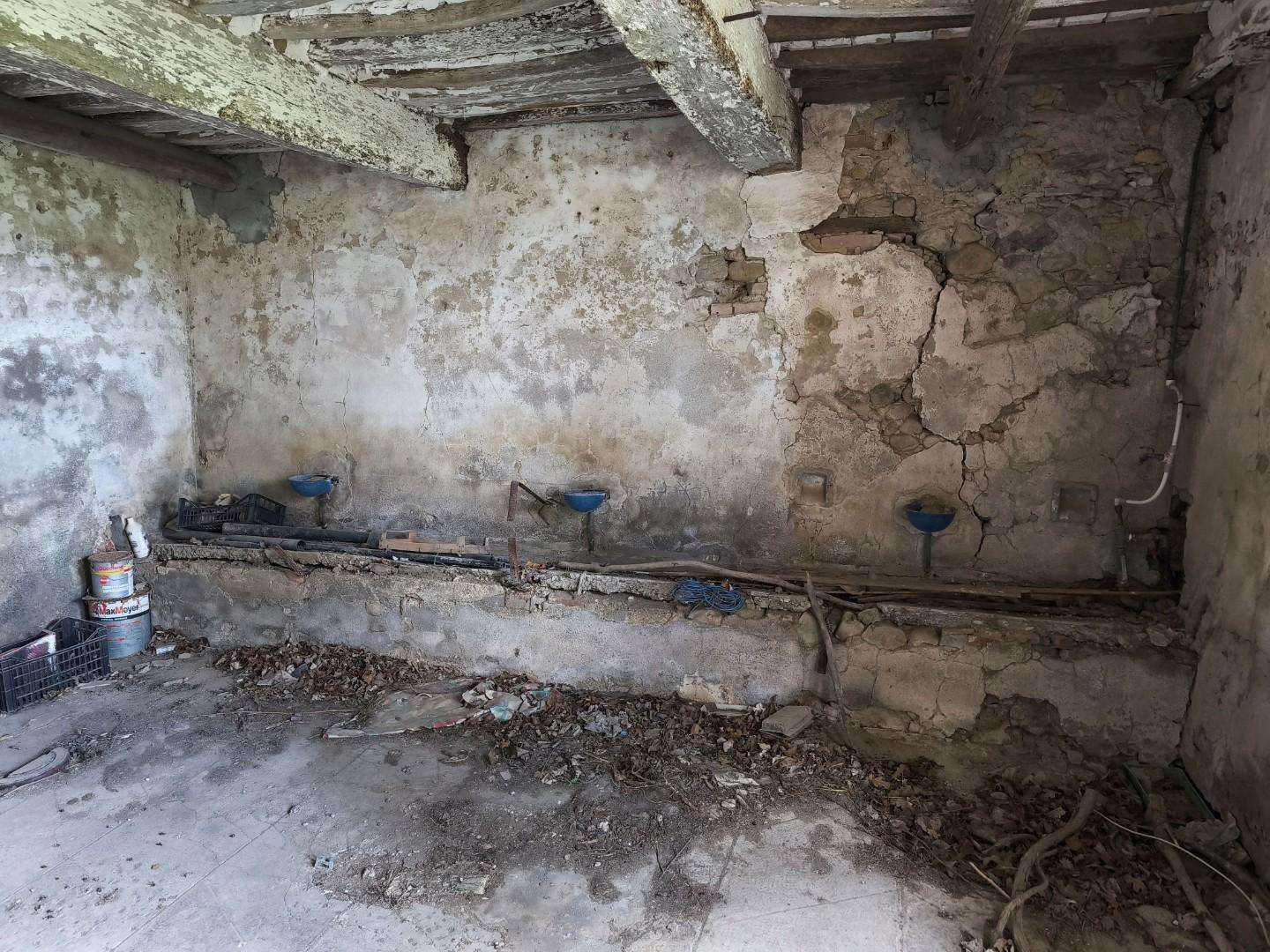  - foto 43