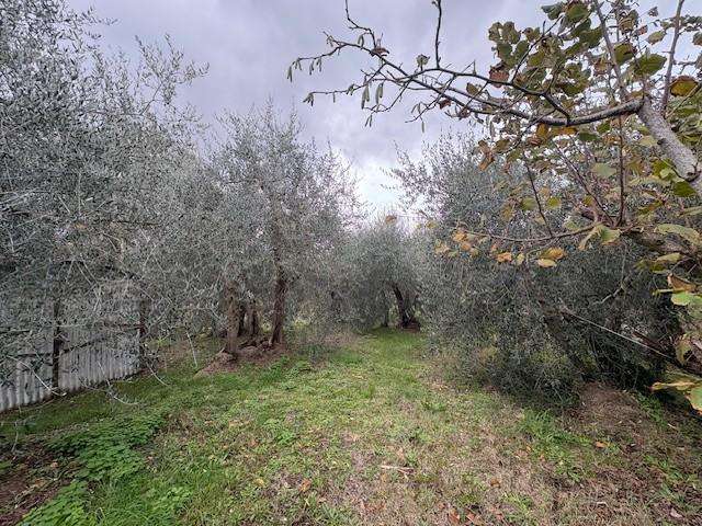  - foto 37
