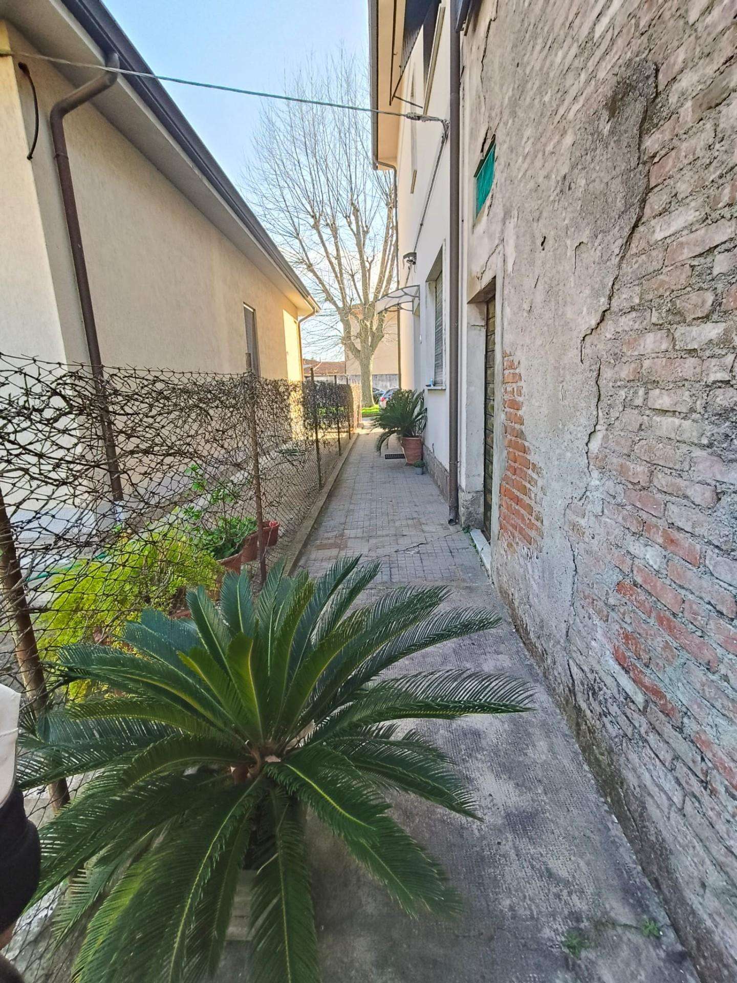  - foto 13
