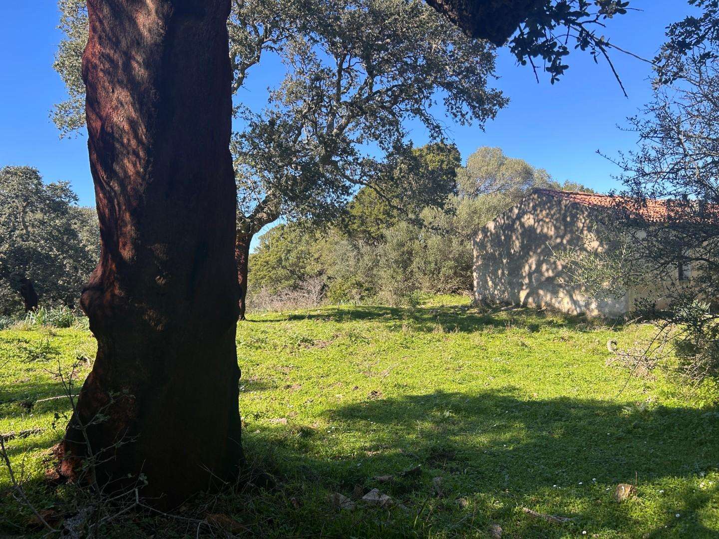  - foto 14