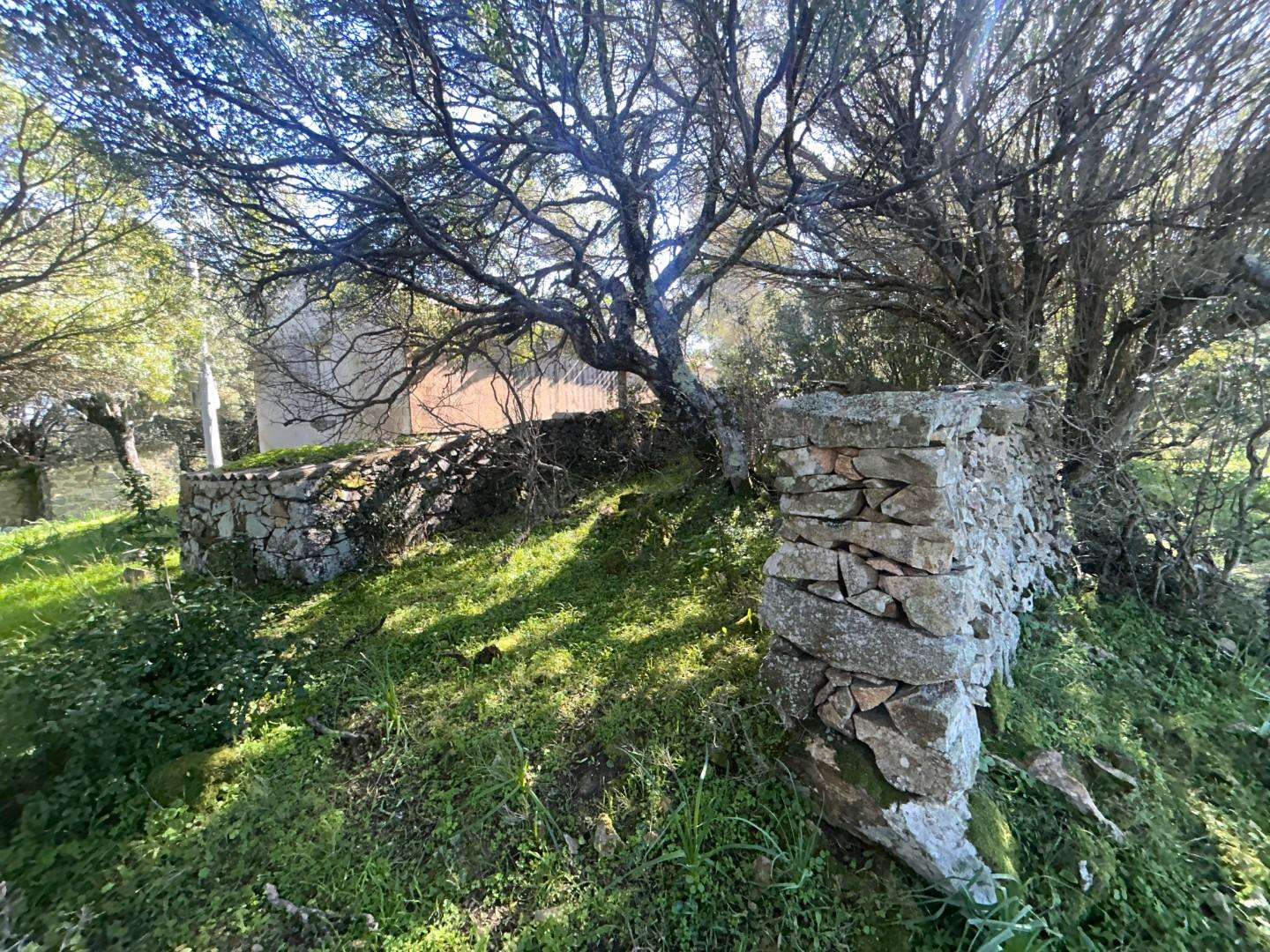  - foto 20