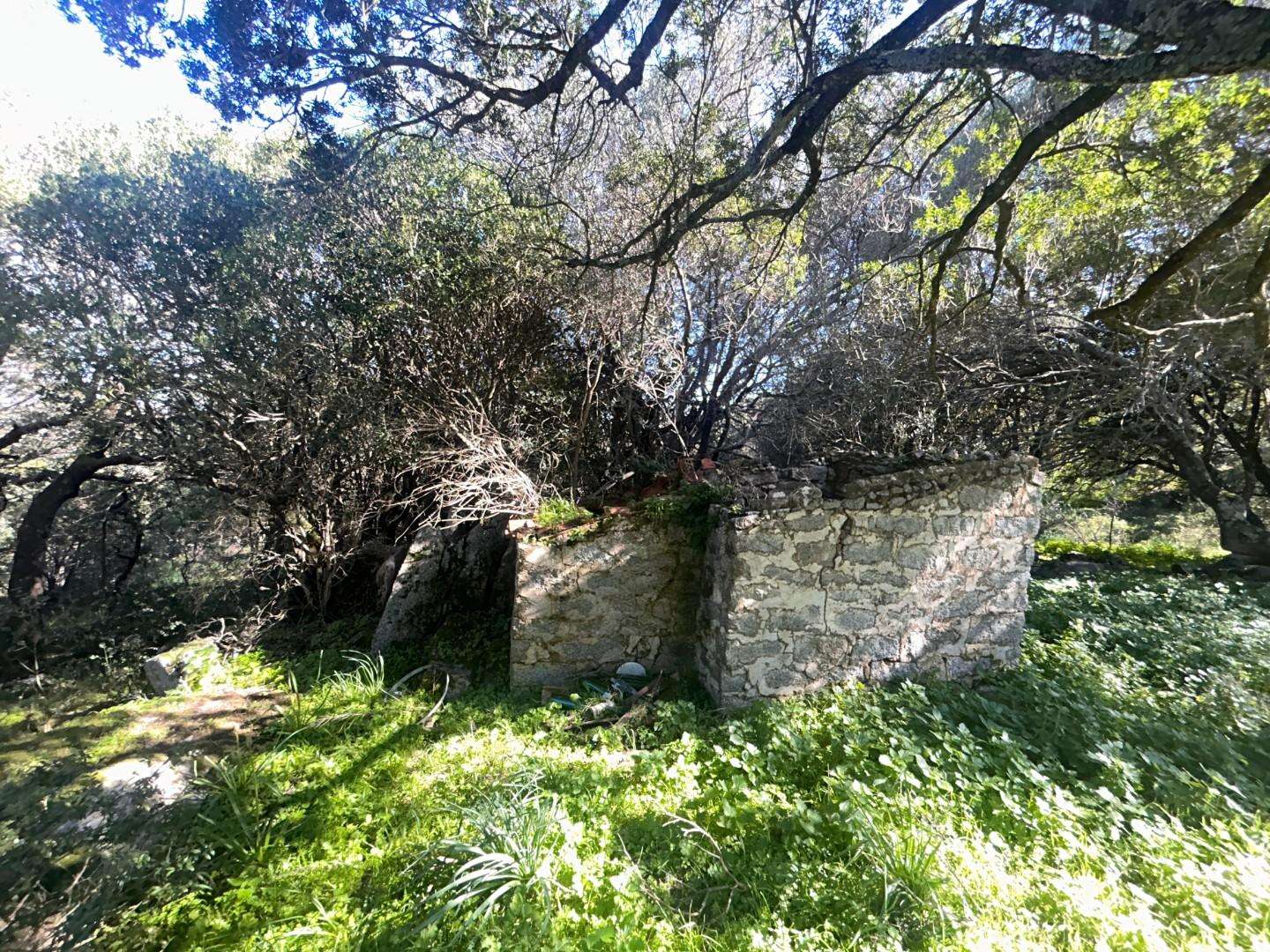  - foto 21
