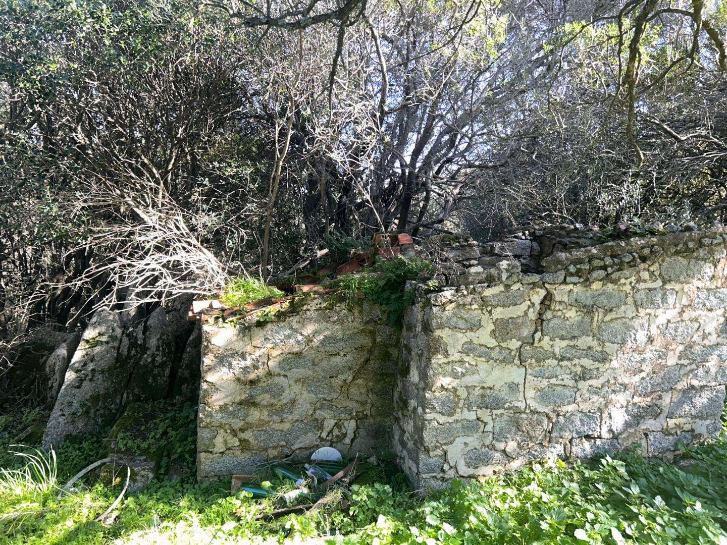  - foto 23