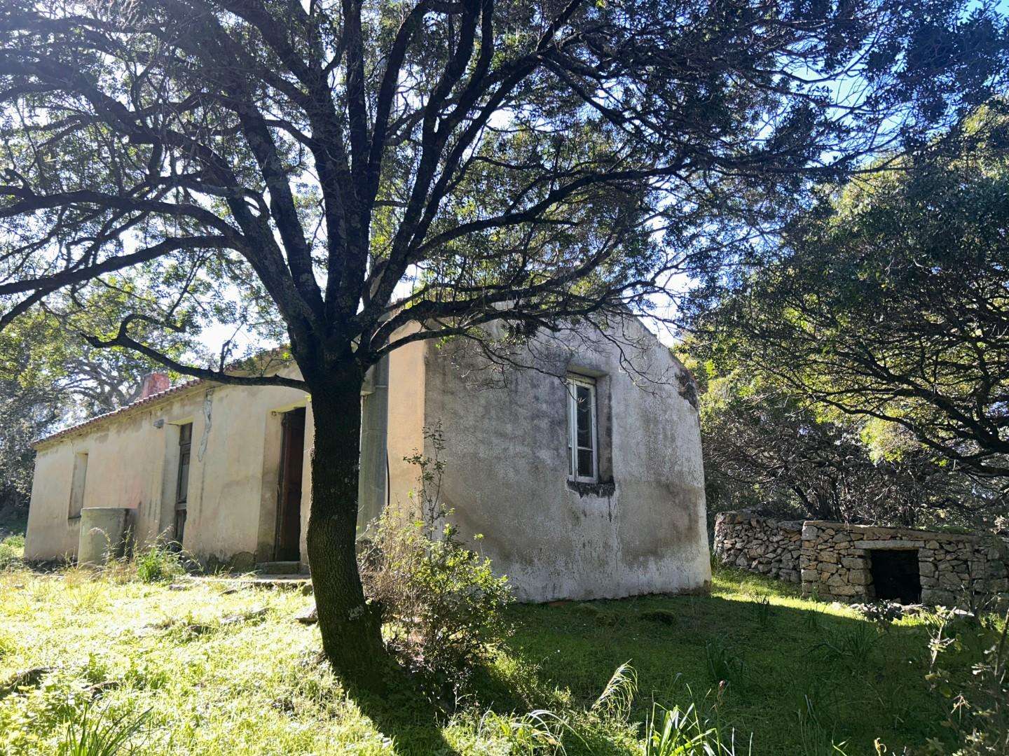  - foto 3