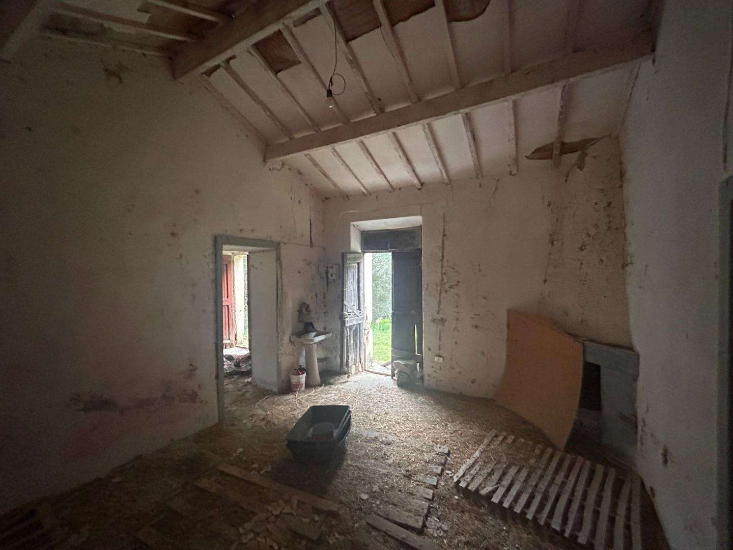  - foto 33