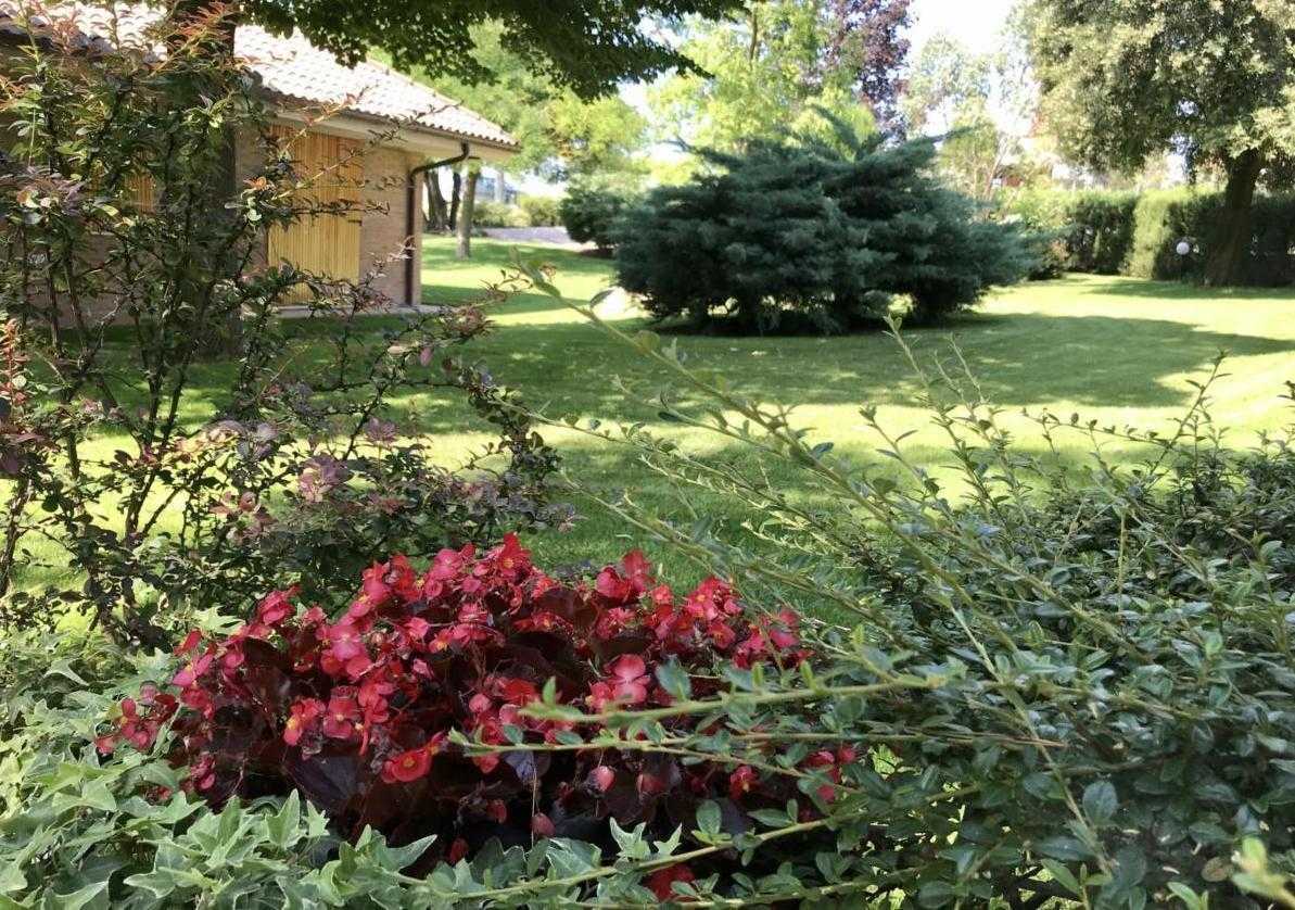  - foto 3