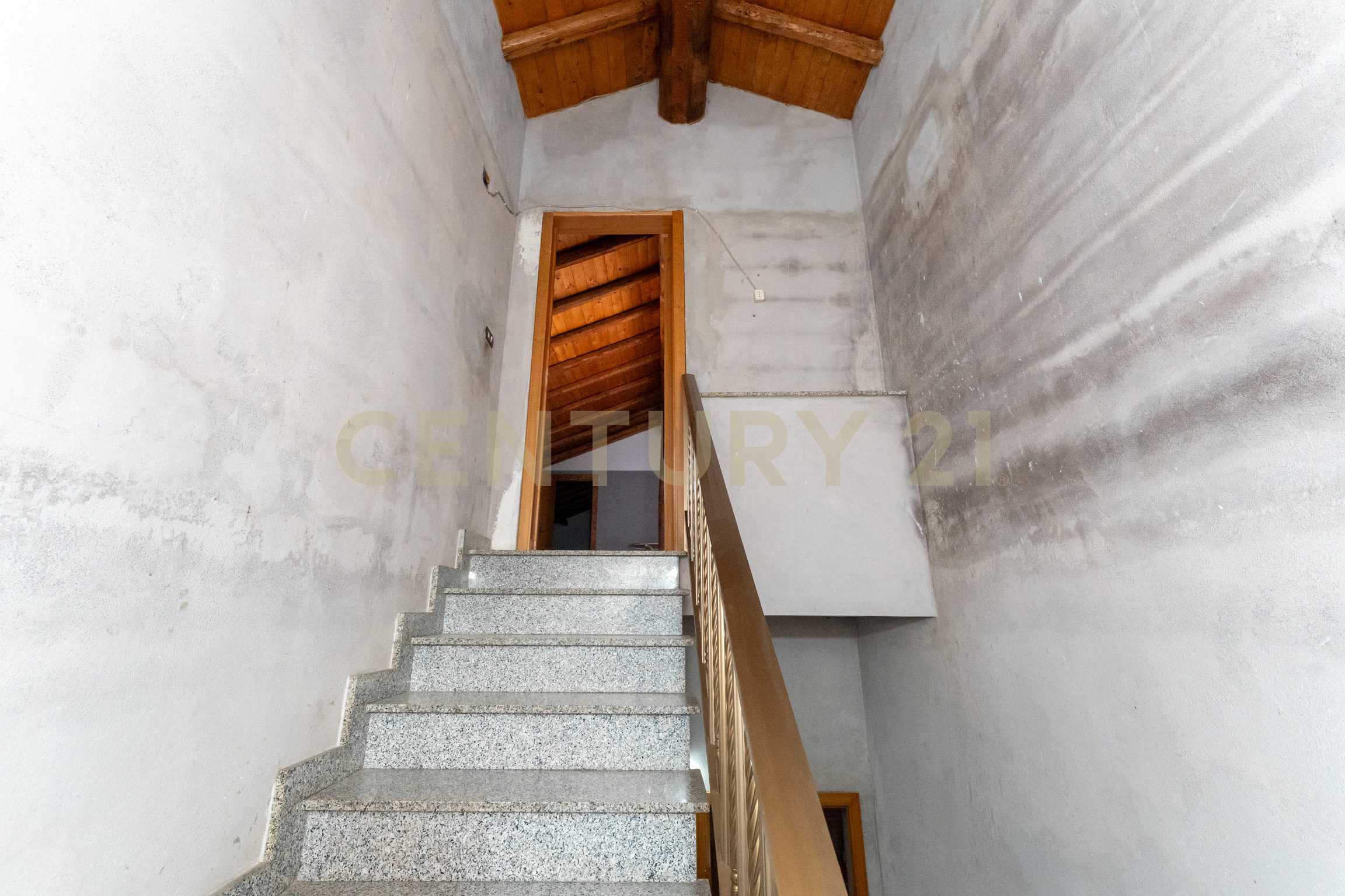  - foto 64