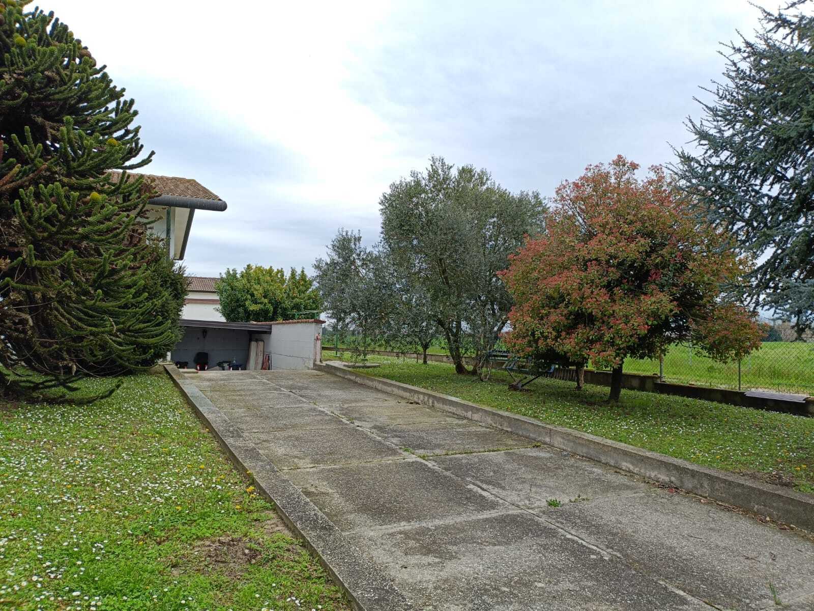  - foto 2
