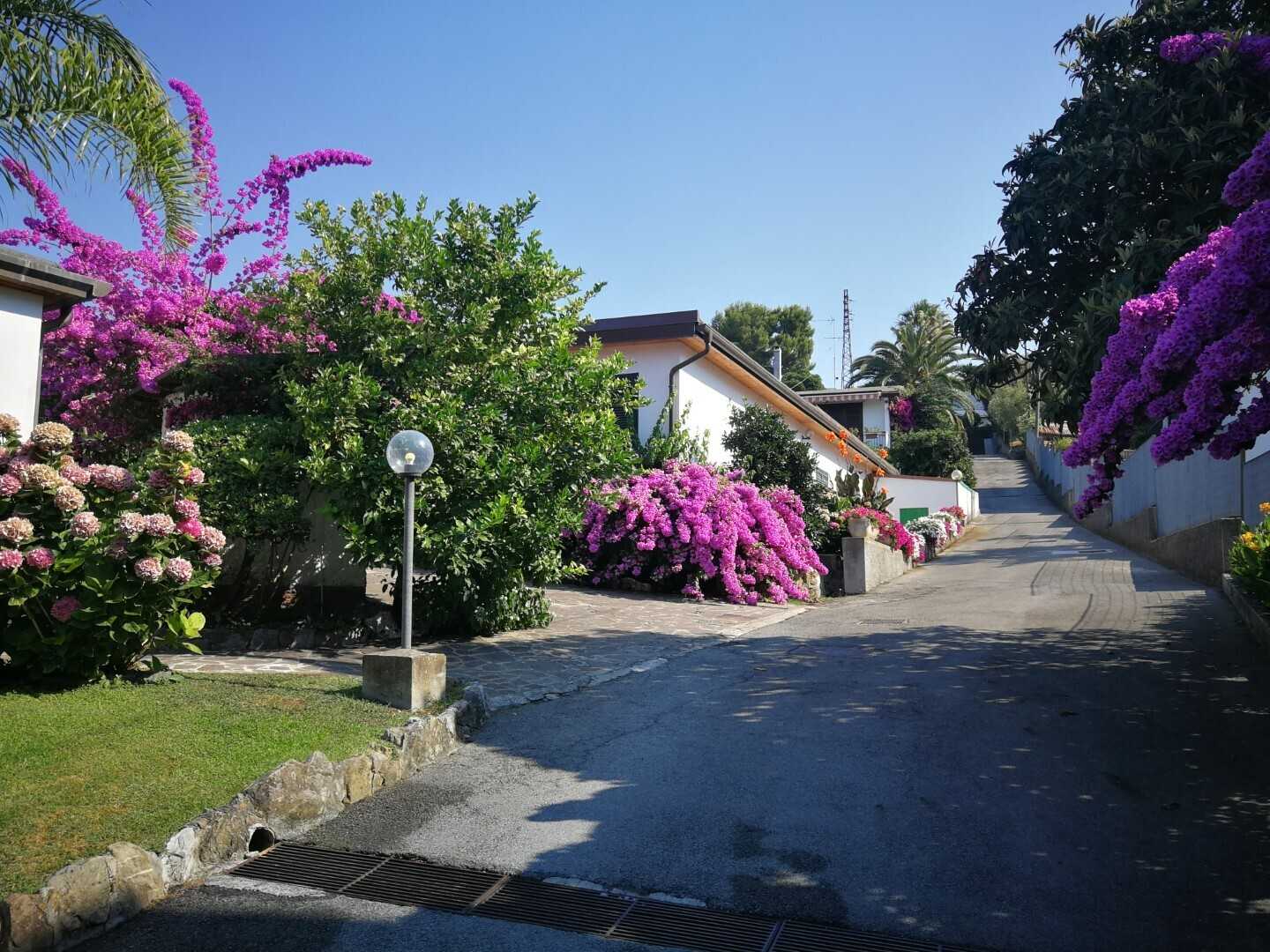  - foto 26
