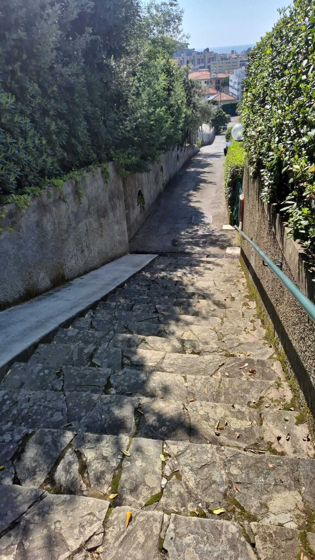  - foto 8