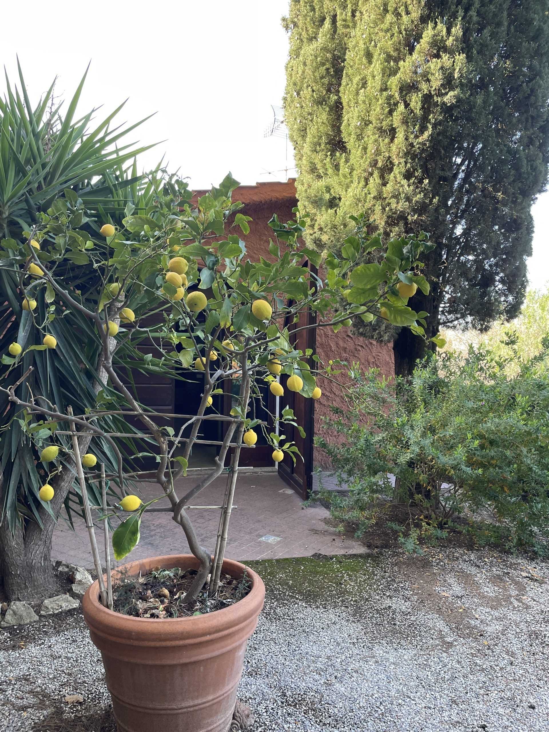  - foto 28