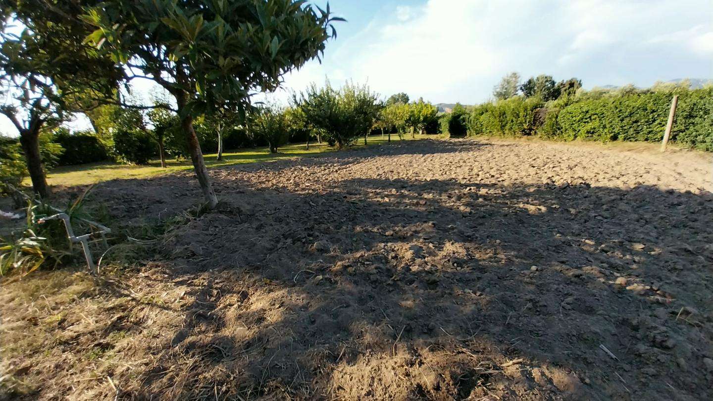  - foto 7