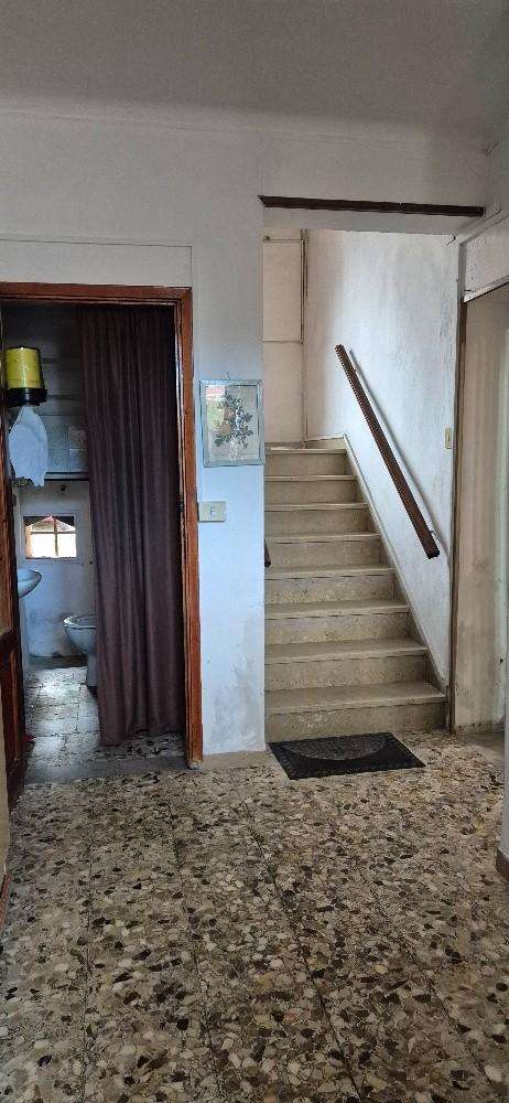  - foto 15