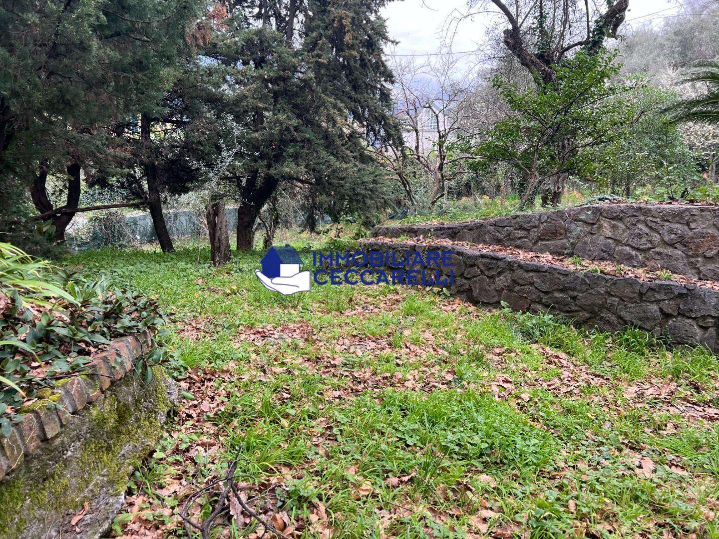  - foto 34