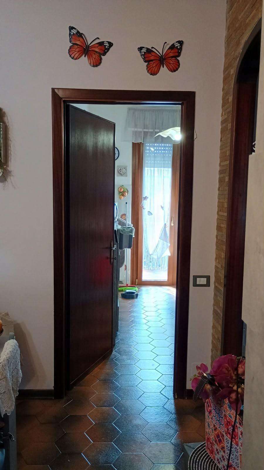  - foto 6