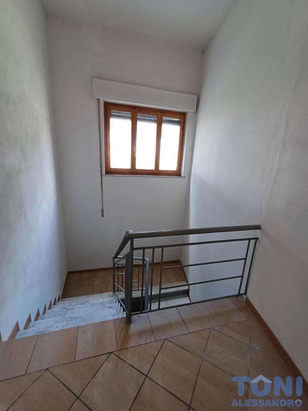  - foto 7