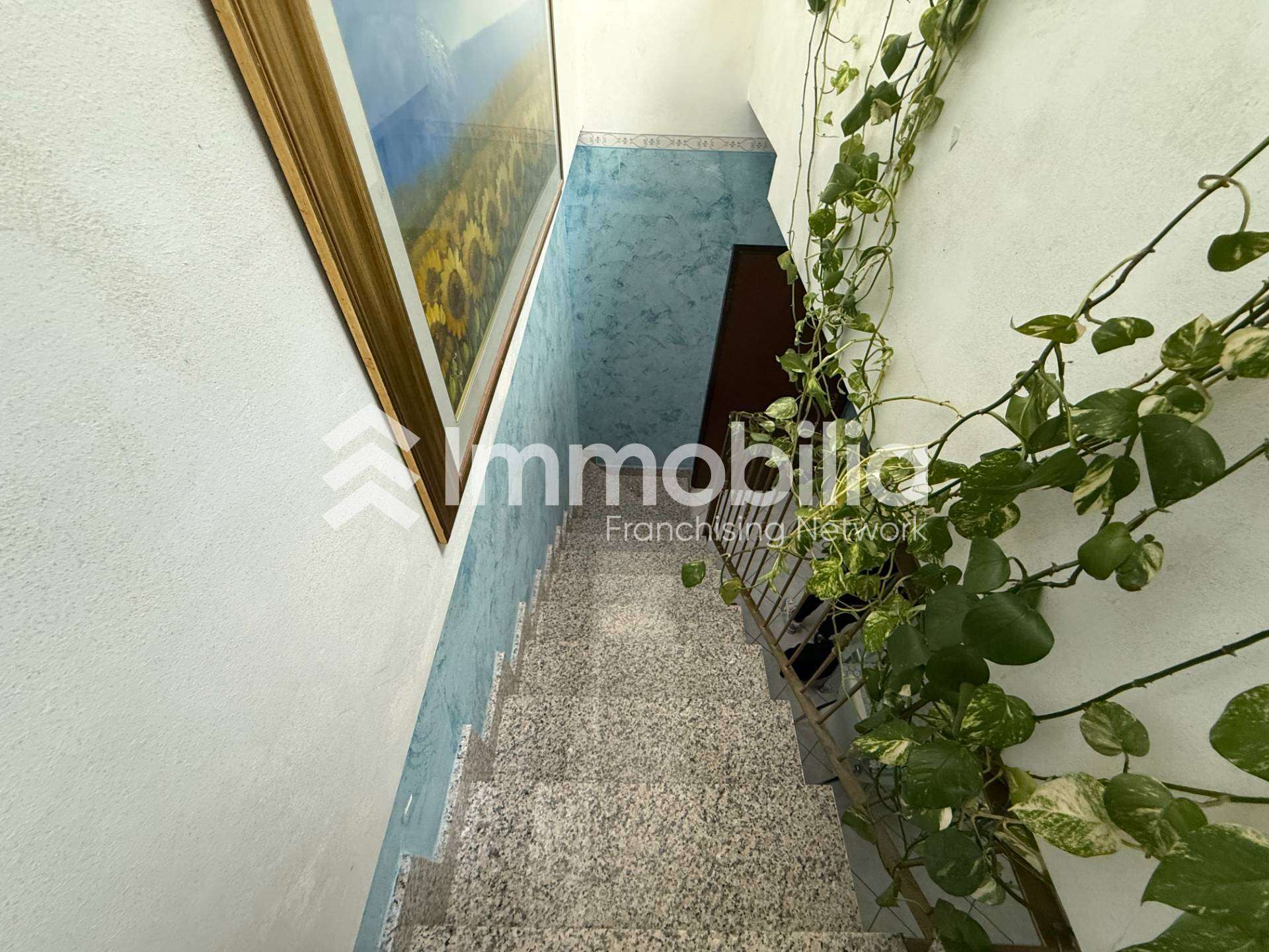  - foto 17