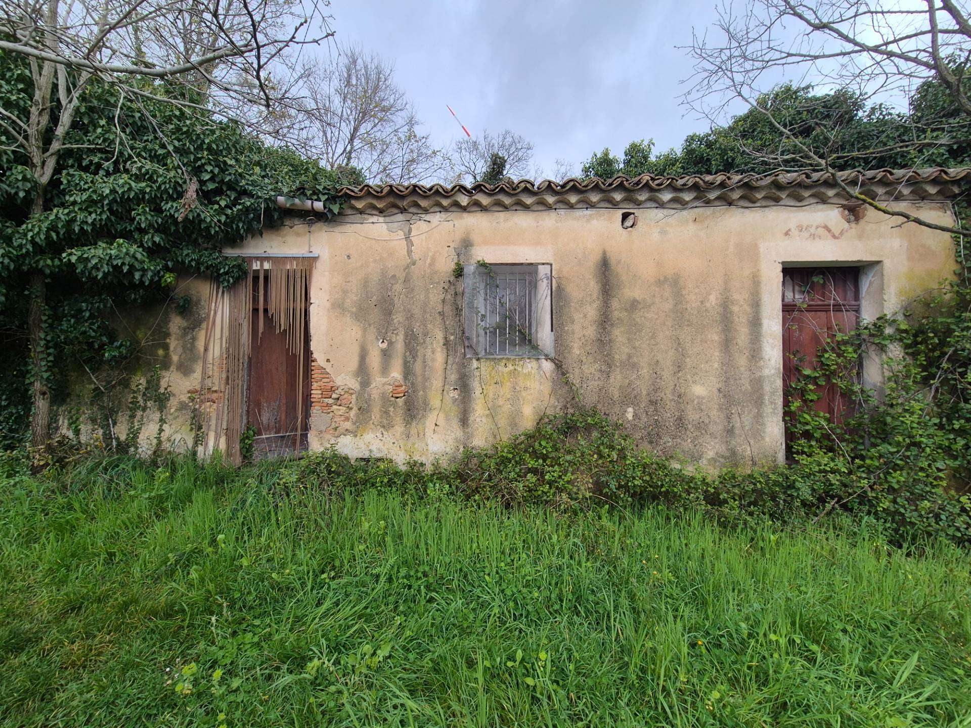  - foto 2