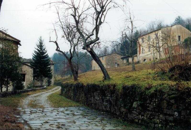  - foto 14