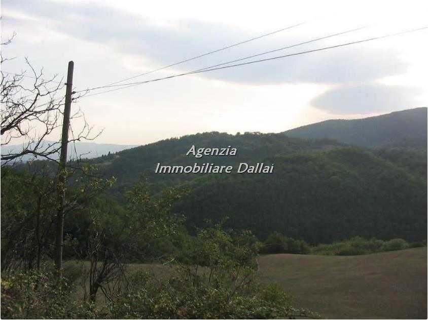  - foto 8