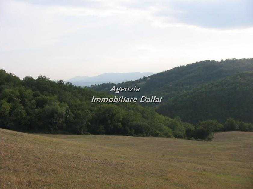  - foto 9
