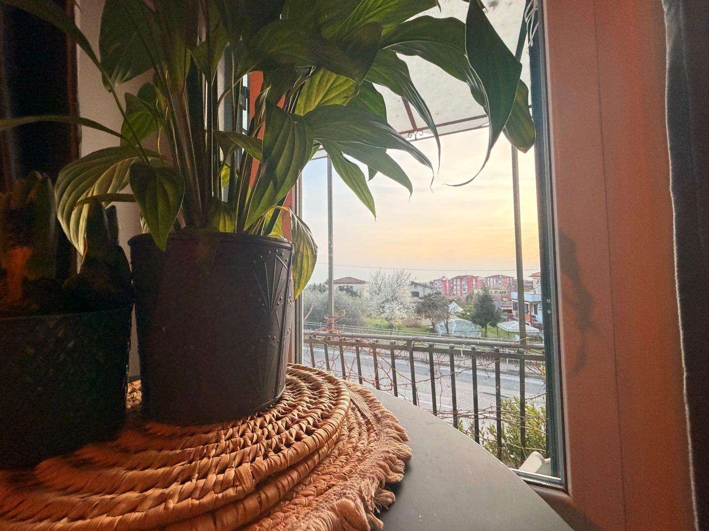  - foto 8
