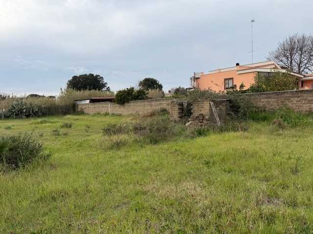  - foto 14