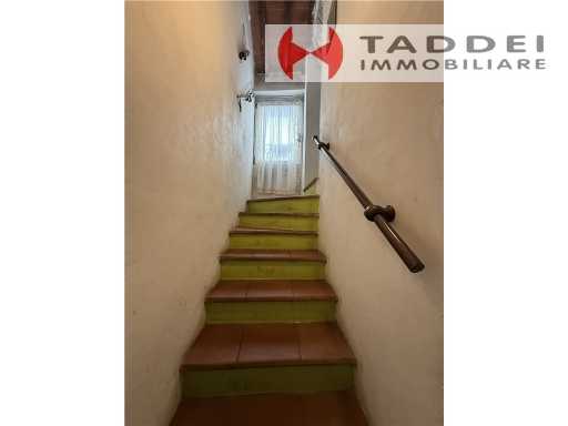  - foto 11