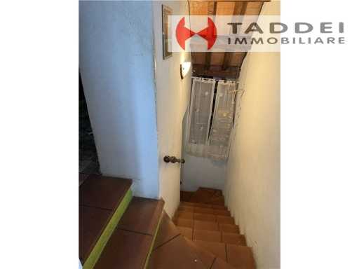  - foto 32