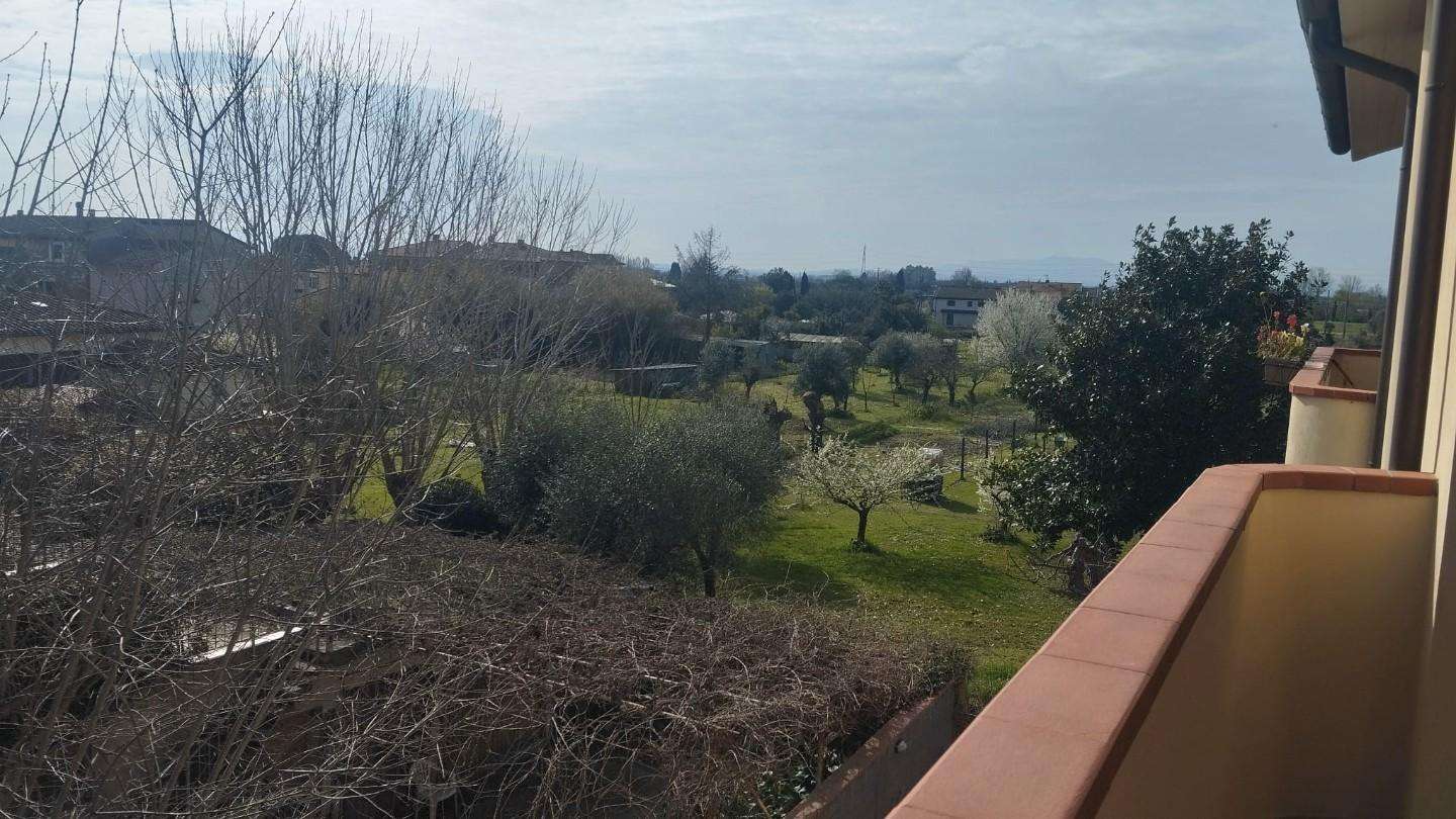  - foto 6