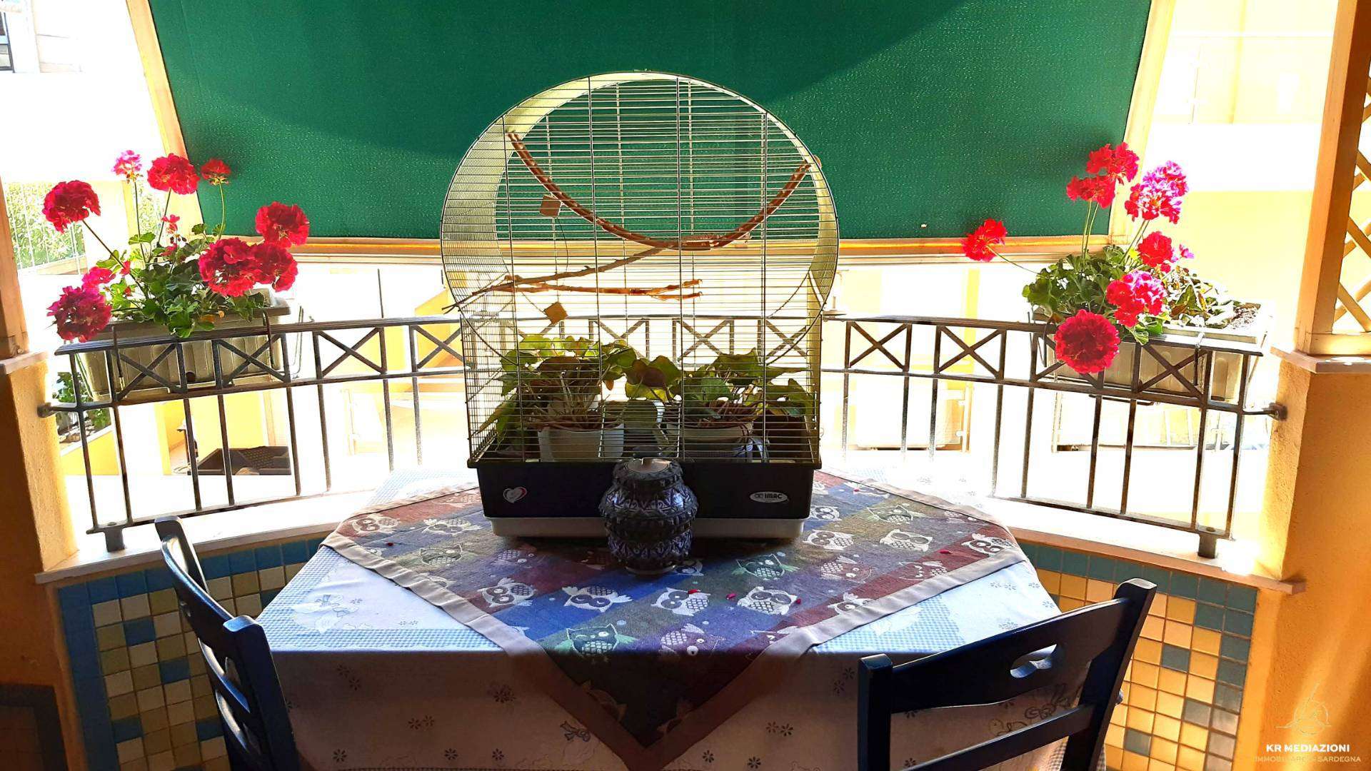  - foto 11