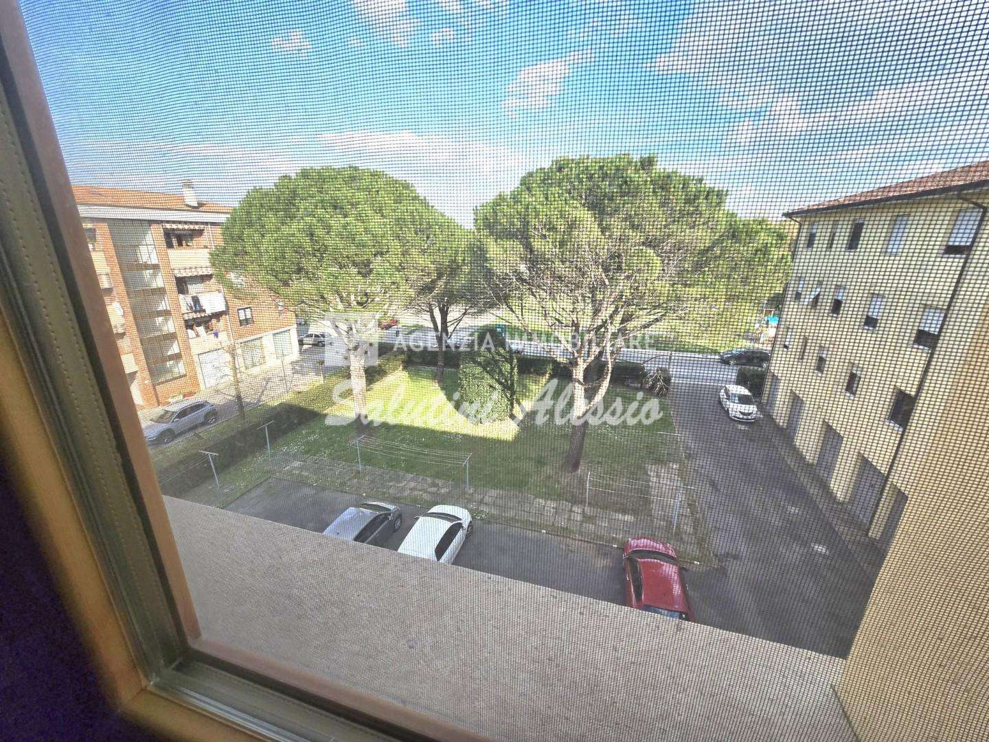  - foto 17