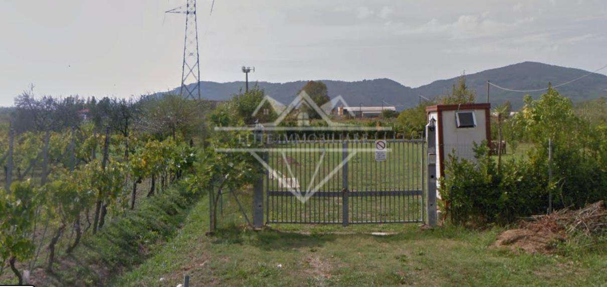 Terreno agricolo Via Gragnola,, Castelnuovo Magra