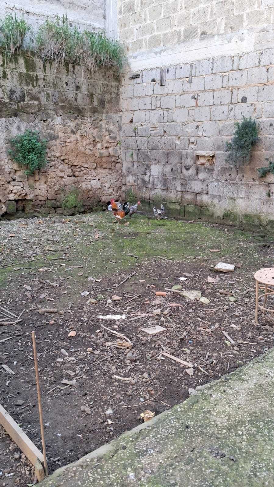  - foto 13