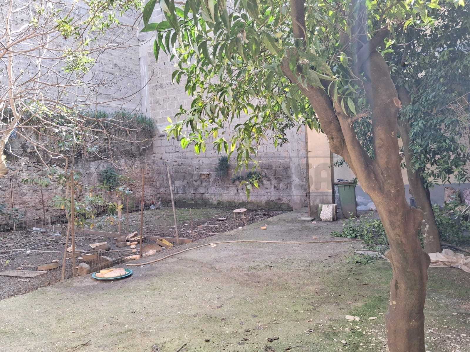  - foto 16